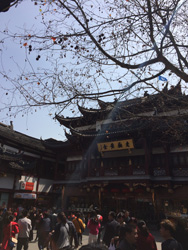 templeshanghai