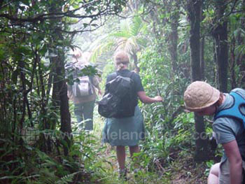 Excursie in de jungle