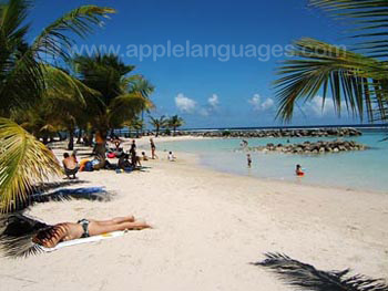 Dit strand is slechts 50 meter van onze school vandaan!