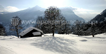 De prachtige Zwitserse Alpen in de winter!