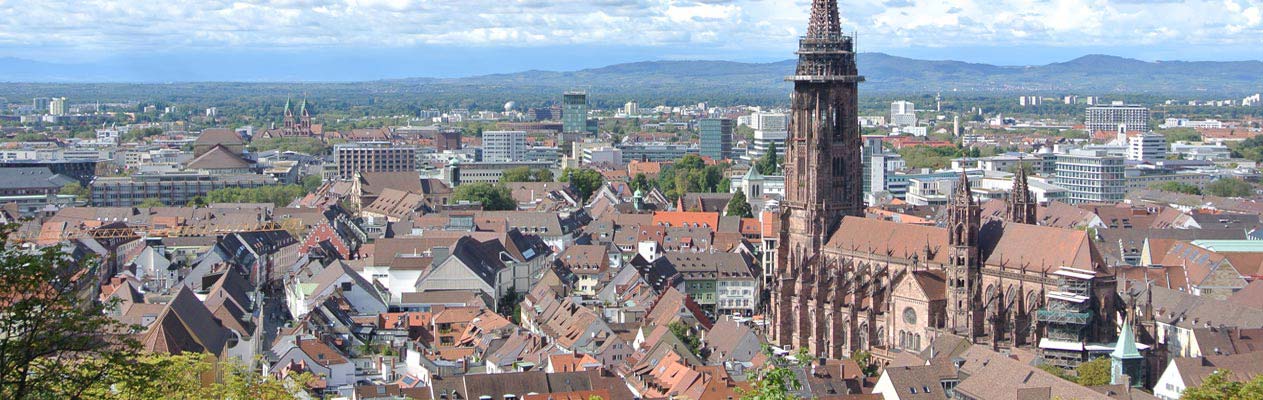 Freiburgse daken en Kathedraal, Duitsland