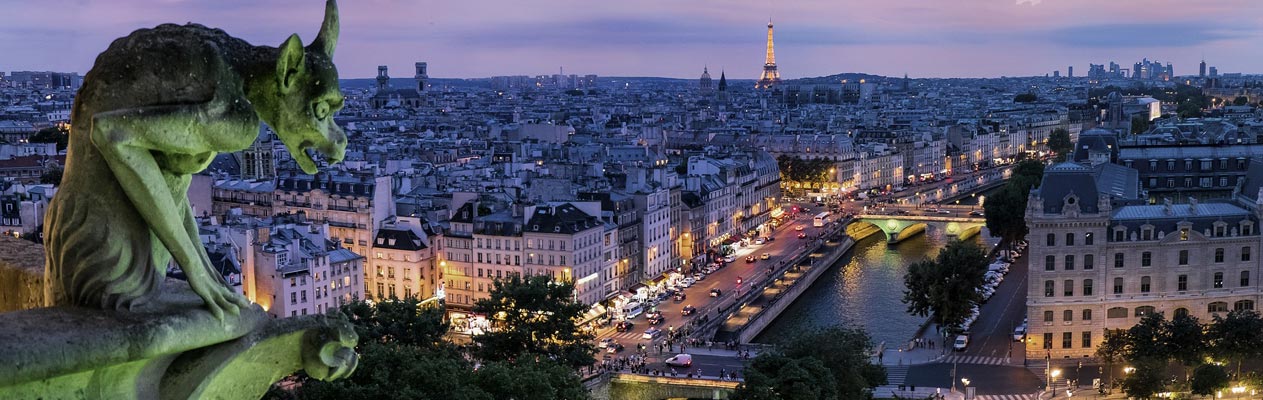 Gargouille kijkt uit over Parijs bij nacht
