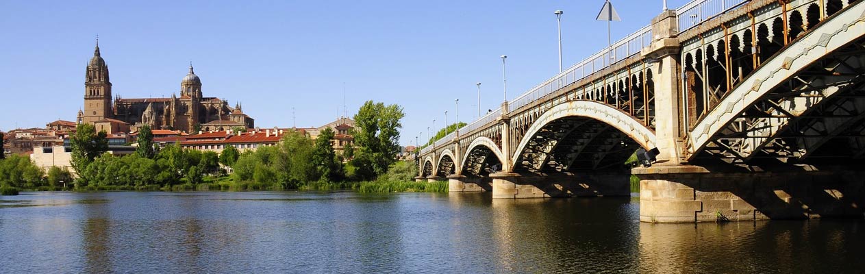 Nieuwe Kathedraal van Salamanca en Enrique Estevan Brug