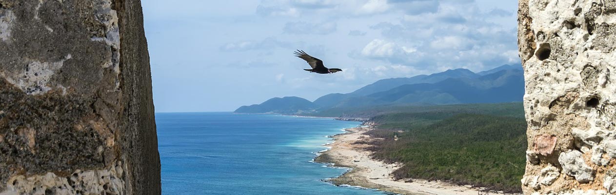 Vogel zweeft boven Santiago de Cuba